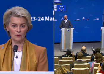 AB’den Ukraynalı çocukların Rusya’ya kaçırılmasına ilişkin konferans girişimi