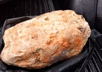 Balıkçı yürüyüş yaparken buldu: 25 milyon TL değerinde