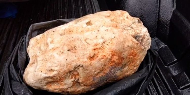 Balıkçı yürüyüş yaparken buldu: 25 milyon TL değerinde