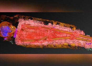 Bilim insanlarını şaşırtan keşif: Bin 900 yıllık Mısır mumyası 5 yaşındaki bir kız çocuğuna ait çıktı