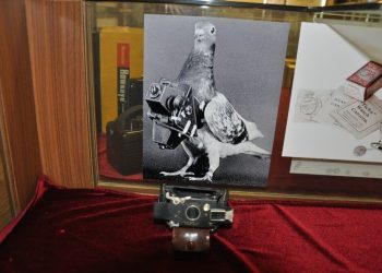 Güvercin drone ilgiyi üzerine topladı