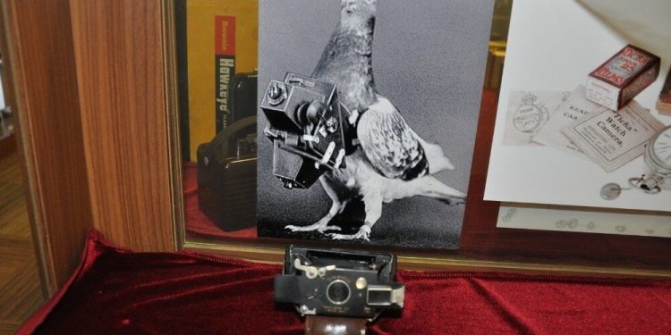 Güvercin drone ilgiyi üzerine topladı