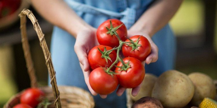 Kasım ayının zam şampiyonu oldu