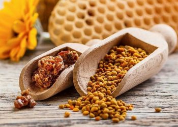 Propolis nedir, faydaları nelerdir, nasıl tüketilir?