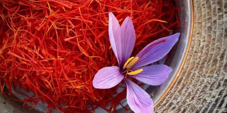 Safranın kilosu ne kadar: Safran nedir, faydaları nelerdir?