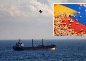Tahıl Koridoru’nda sürenin uzatılması cebe yansıyacak: Fiyatlardaki düşüş sürecek