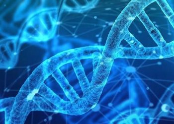 Türk bilim insanlarından kaçak alkolden ölümleri bitirecek buluş: Damladaki DNA’dan iz sürülecek