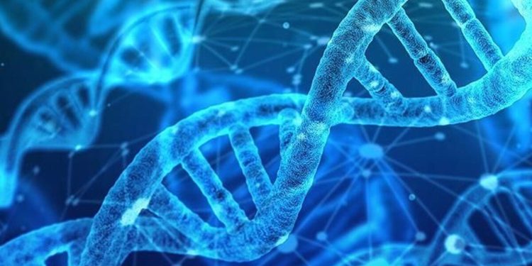 Türk bilim insanlarından kaçak alkolden ölümleri bitirecek buluş: Damladaki DNA’dan iz sürülecek