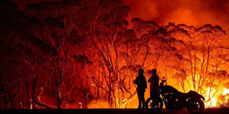 Yangınlar Avustralya ormanlarının yüzde 21’ini yok etti