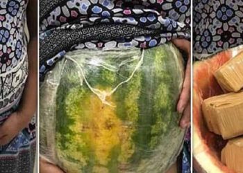 Zehir tacirlerinden akılalmaz yöntem: Hamile numarası yapıp karnındaki karpuzun içine uyuşturucu koydu