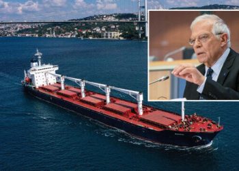 AB’den Tahıl Koridoru açıklaması: Türkiye ve BM’yi desteklemeyi sürdüreceğiz