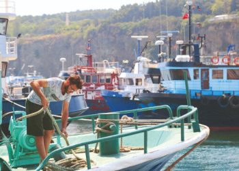 Bu yıl palamut az hamsi bol olacak