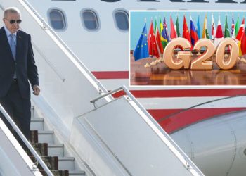 Cumhurbaşkanı Erdoğan’ın Hindistan ve ABD temasları: Özel gündem ‘iklim değişikliği’ olacak