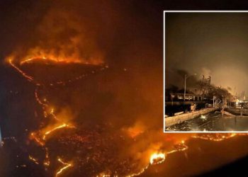 Hawaii’de  bilanço ağırlaşıyor: Orman yangınlarında can kaybı 80’e yükseldi