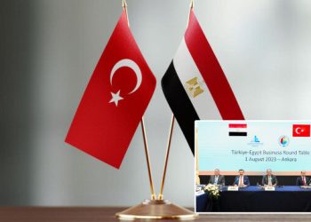 Mısır’dan Türkiye’ye dikkat çeken teklif: İş birliğimizi geliştirmek istiyoruz