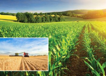 Tarımda verimi artıracak mikrobiyal gübre geliştirildi