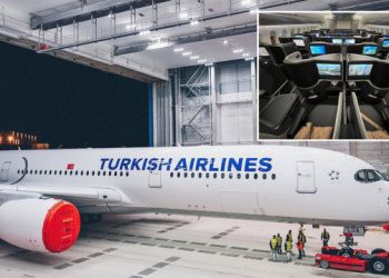 THY filosuna dört yeni uçak daha katılıyor: Sipariş kesinleşti