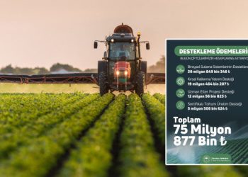 Bakan müjdeyi duyurdu: Tam 75 milyon TL bugün hesaplara yatırılacak