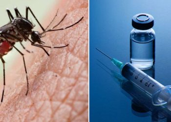 DSÖ’den çocuklarda sıtmayı önlemek için ‘R21/Matrix-M’ aşısı önerisi