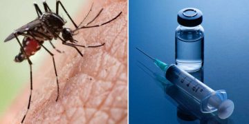 DSÖ’den çocuklarda sıtmayı önlemek için ‘R21/Matrix-M’ aşısı önerisi