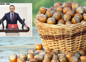 Fındıkta yeni spekülasyon: Ordu Milletvekili Naci Şanlıtürk ‘tekelci firmaya yarıyor’ diyerek üreticiyi uyardı