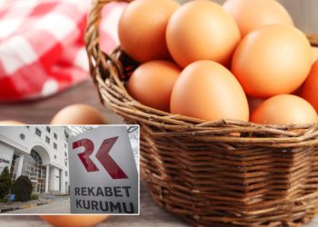Rekabet Kurulu yumurta üreticisi 12 firmaya ‘kartel’ cezası uyguladı